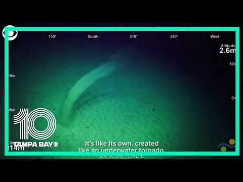 Scientists spot an underwater "tornado"