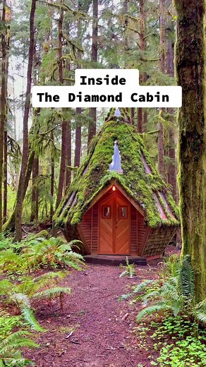 Reply to @brynnemarieeee Let’s go inside! Cabin by @jacobwitzling and me #cabin #realestate #architecture #tinyhouse #diy
