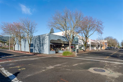 290 S School St, Ukiah, CA 95482 - Retail for Sale | LoopNet