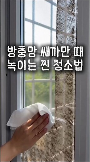 5분 만에 끝내는 방충망 청소 꿀팁! 먼지 날림 없이 새것처럼 투명하게 만드는 법 ✨