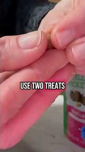 An easy way to pill your cat using the hidden pill pocket cat hack! 😻 #cats