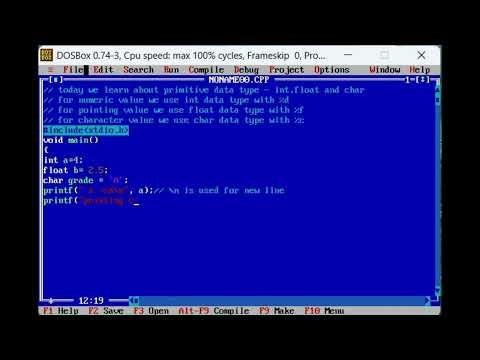 Program About primitive data type in C