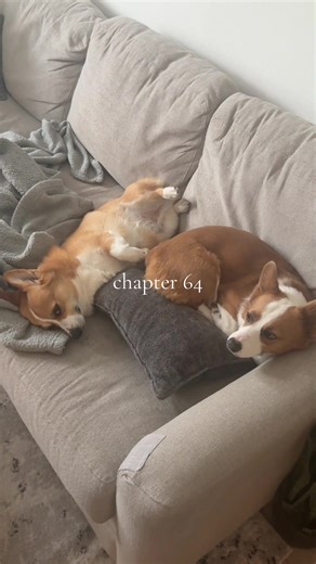 chapter 64/365 ✨ Short video today because admittedly I completely forgot to film picking up @Tori from the airport, don’t worry though we’ll more than make up for it tomorrow 🤪 Song of the day: Getting Over You- Lauv #dayinmylife #diml #dailylife #vlog #atx