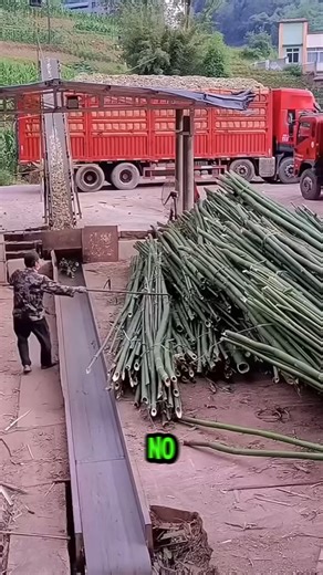 149K views · 286 reactions | How to Crush and Bal Bamboo Quickly Step by Step Process | Woodform Crafts | Facebook