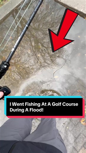 I Went Fishing At A Golf Course During A Flood With @trk.fishing #fishing #fishingvideos #bassfishing #fyp #kastking