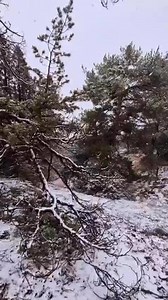 Kejaran di musim salju🤩🤩 #reels | Lesii Pontel Lala