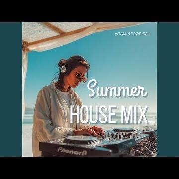 Conch Shell Collection Childhood