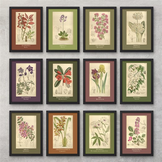Vintage Botanical Print Set | 22 Printable Wall Art Prints | Floral Illustrations | Digital Download - Etsy