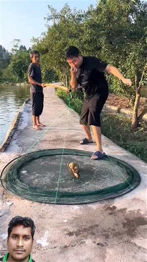 #fishing #koi #kingcobra #carpfishing
