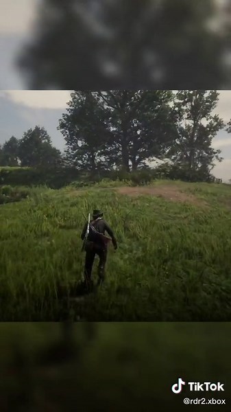 Red Dead Redemption 2 Cougars Location Guide