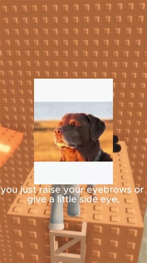 Everyone Has That One Friend Who Knows Exactly What You're Thinking #helpmemakethismakesense #funny