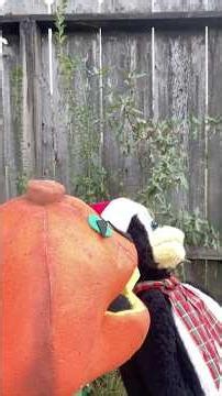 Penguin Puppet Reveals Arrival Part 3 Holiday Hilarity Short #december #flashback #christmas #comedy