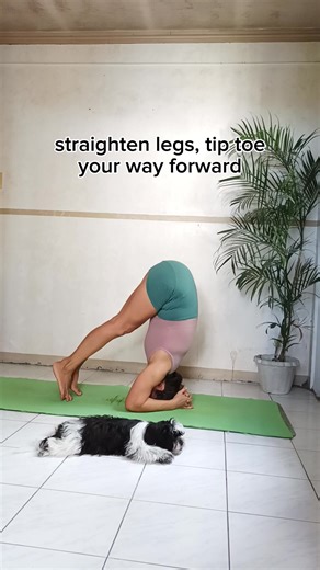 48K views · 331 reactions | Headstand tuck is all about control. Start in supportive headstand → knees in, core on, breathe steady. That little tuck makes you feel strong + floaty at the same time  . #headstand #headstandtuck #supportiveheadstand #Yoga #yogapractice #yogaeveryday #inversion #fitness | Letlet Yoga | Facebook