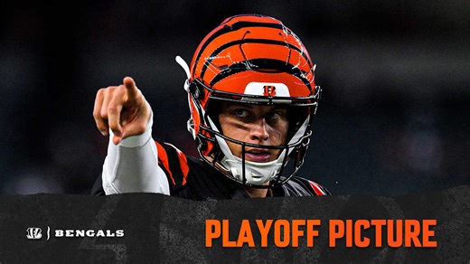 AFC Playoff Picture: Bengals Still Alive as Season Hits Home Stretch