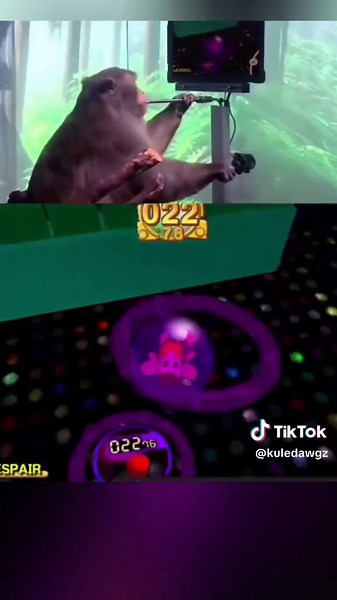 Monkey Ball Highlights - The Rotating Molester Train Guide