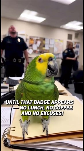Parrot & Cops - Badge Missing Parrot Cancels Everything! #parrot #police #shorts #cops