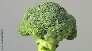 Crisp green broccoli, detailed and dew-kissed, symbolizing organic produce and the farm-to-table movement. Nature s palette.