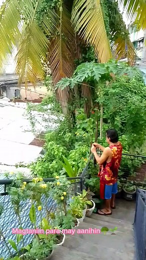 #urbangardening #fbreels | Robel Montero