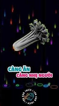 🌿 Series Thực Vật #15 – Rau Cần Tây (Apium Graveolens) #luukhathien