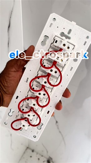 Ele_ctrospark | Double loope terminal leg #schneider #electrician #dbdressing #electrical | Instagram