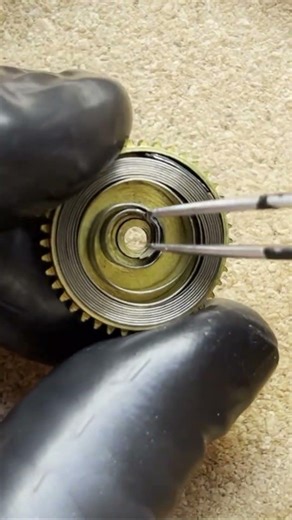 A main spring sets flight