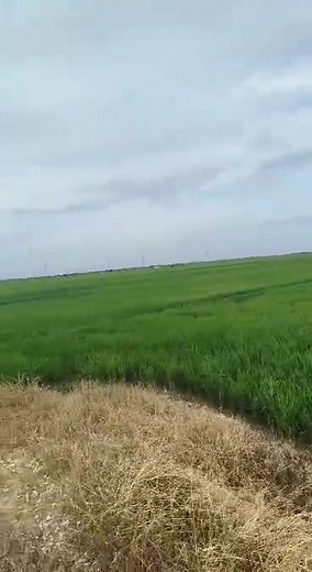 EMJ Biotech on Reels | Facebook