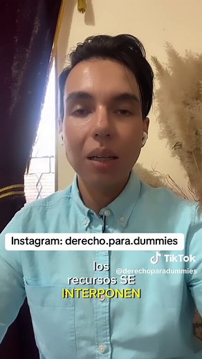 Terminología Jurídica Correcta para Abogados
