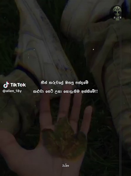 Track Music Nostalgia: A Journey Through Memories