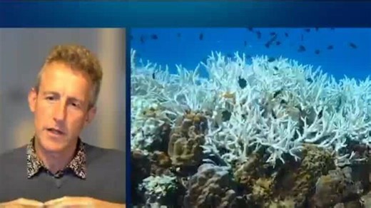 Coral reefs cross survival threshold in Earth’s first major climate tipping point