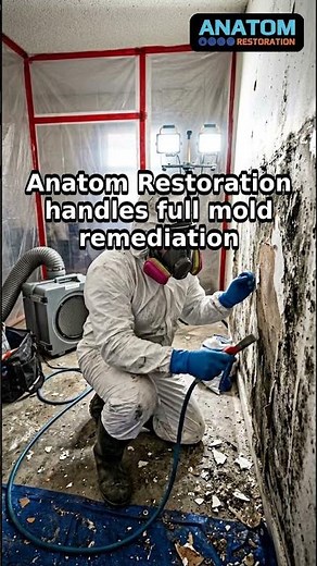 Mold Remediation in Denver, CO - Full Removal & Restoration