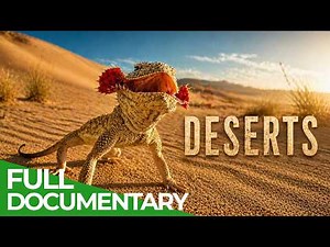 Deserts: Earth’s Most breathtaking Ecosystem | Free Documentary Nature