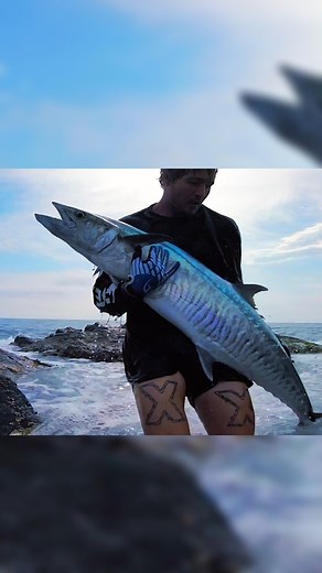 Light setup went heavy real quick, the monster took off screaming! | Cavy Fishing