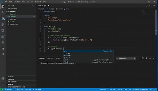 Go语言Echo Web框架