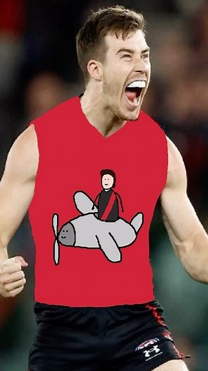 AFL Paints on Instagram: "Essendon logo redesign"