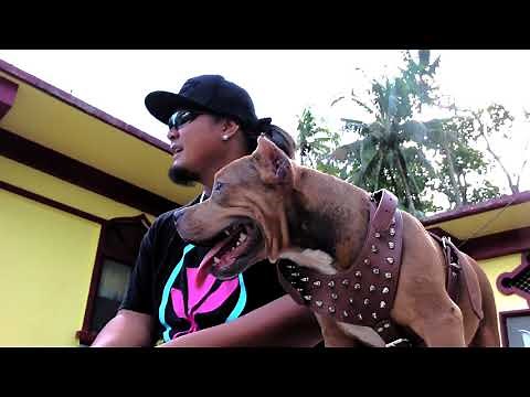 Mountain Boyz - Bottle Of Whiskey (Official Music Video) Chuuk