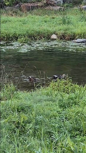 Sonata for Trumpet and Piano : III Vivace · Jouko Harjanne · Juhani LagerspetzㆍGeorge Antheil