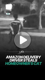 Amazon delivery driver accused of taking homeowner's cat