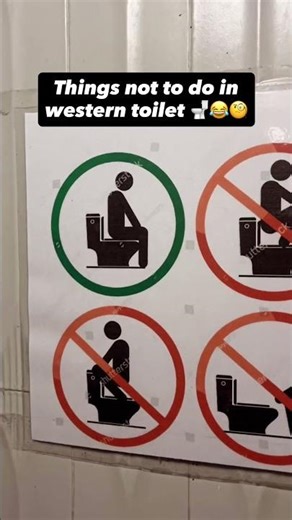 How to use western toilet 🚽😂 #westerntoilet #commode #toilet #viral #tips #funny #latrine #poop