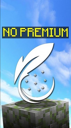 Instalé el FEATHER CLIENT NO PREMIUM