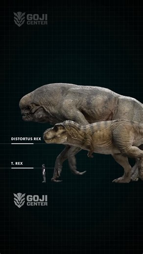 GojiCenter | Kaiju, Dinosaurs, Beasts on Instagram: "Ember compared to D rex #jurassicworld #jurassicpark #trex #distortusrex"