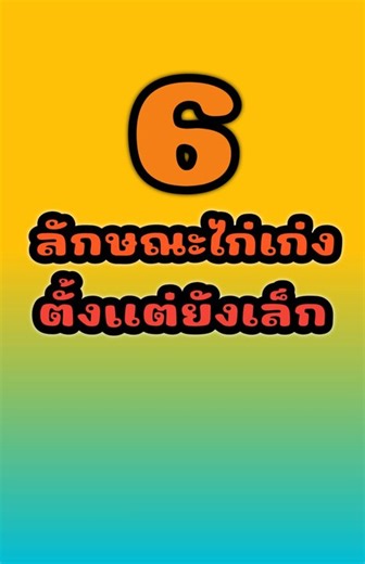 74K views · 1.5K reactions | 6 characteristics of chickens that are good from a young age (#beginners should watch) 6 ลักษณะไก่เก่งตั้งแต่ยังเล็ก (มือใหม่ควรดู) | ครูบ้านนอกฟาร์มในสวน Channel | Facebook