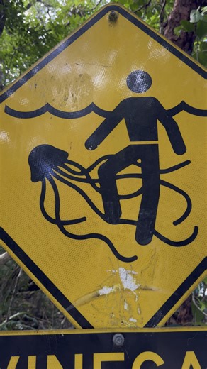 Aussie citizenship test : when do you use Vinegar and when do you use hot water on a Jellyfish sting ? | Fishing Australia TV