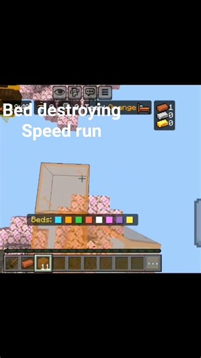 Minecraft bedwars Speed run