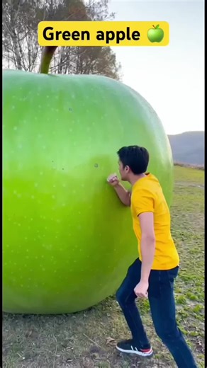 How the Worm Ended Up in My Apple