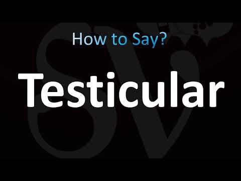 How to Pronounce Testicular (CORRECTLY!)