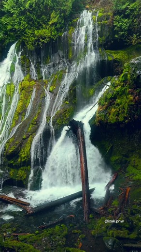 Pacific Northwest Waterfall: Serene Forest Cascades