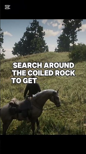 How to Find the Poisonous Trail Treasure in RDR2 💀💰 (4 Gold Bars!) ‪@Mr.CyberKnightzero‬