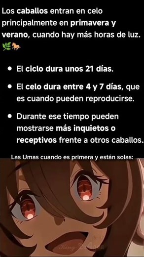 Vaya dato 😐 #umamusume #anime #caballos #uma