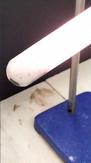 Potassium Chlorate vs Jelly Baby? (Doesn't End Well For Jelly Baby...)