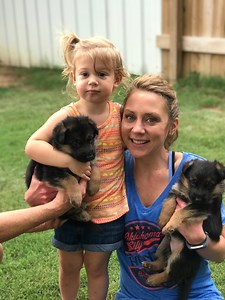 ABOUT US | TEXAS | NOBLEHEIM GERMAN SHEPHERDS